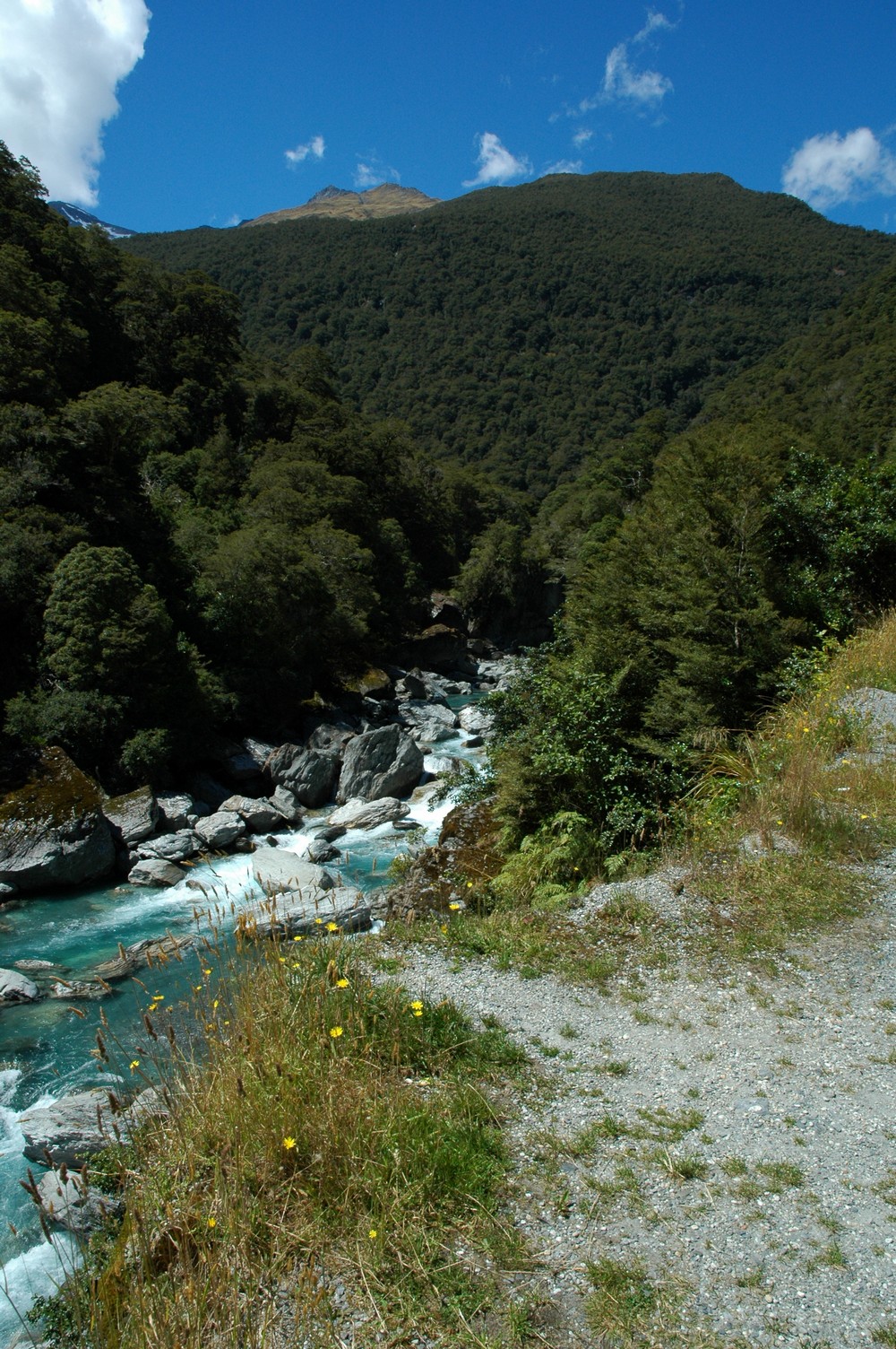 135   25 01   Fox Glacier   Oamura